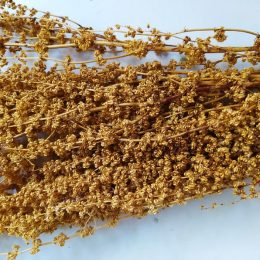 il_794xN.3166473878_ilk3