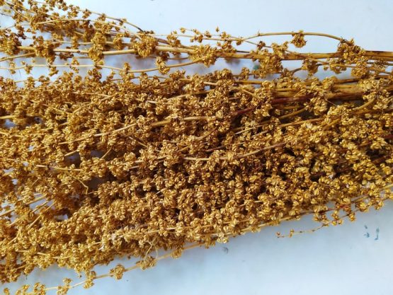 il_794xN.3166473878_ilk3