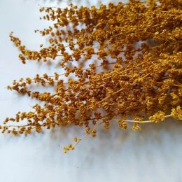 il_794xN.3166474314_cgjf