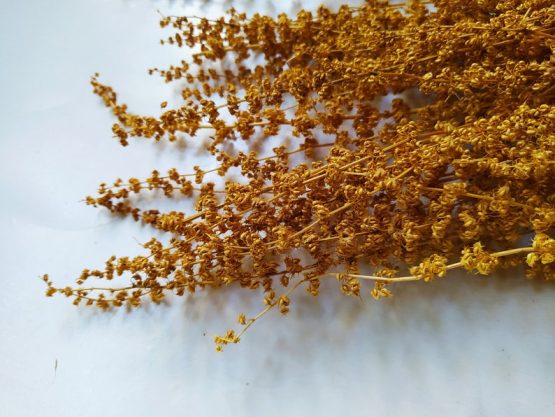 il_794xN.3166474314_cgjf