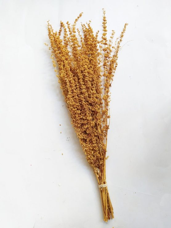 il_794xN.3166474900_ha6a