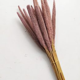 il_794xN.3042697565_fjz7