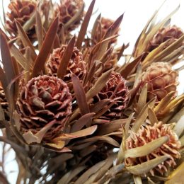 il_794xN.3501396878_jxor