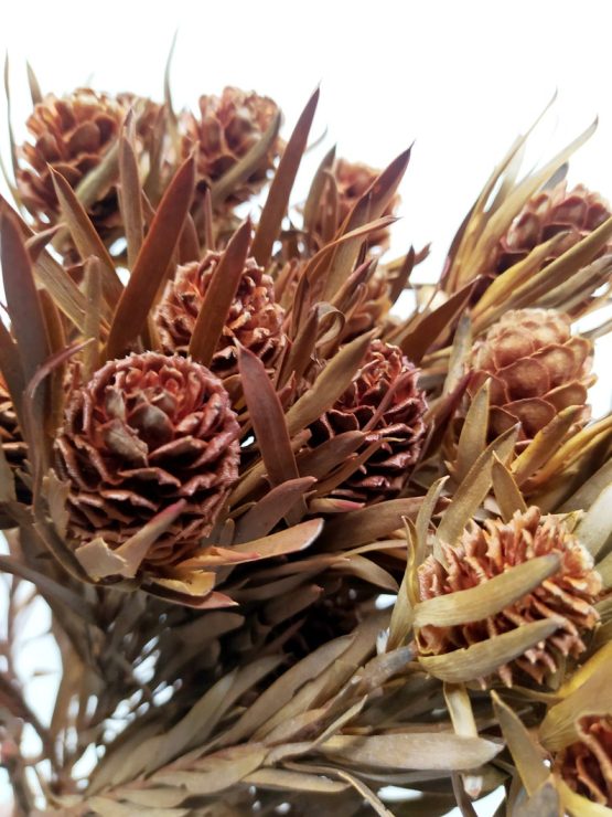 il_794xN.3501396878_jxor