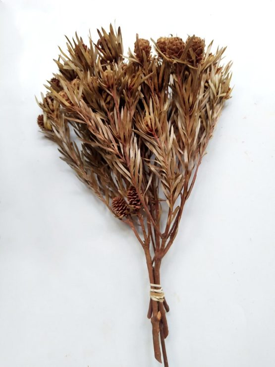 il_794xN.3549032391_bcmz