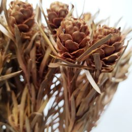 il_794xN.3549032497_hhij