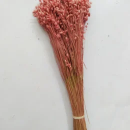 il_1588xN.4000222545_k8po