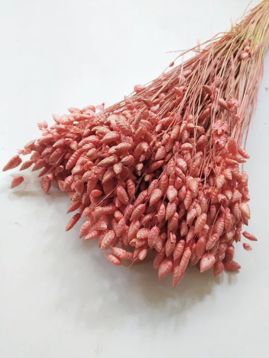 il_1588xN.4000222617_2mqf