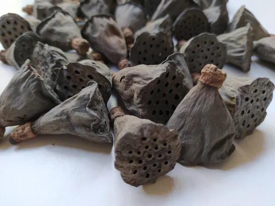 il_1588xN.3992316630_3m86