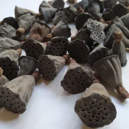 il_1588xN.4039969527_nixt