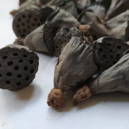 il_1588xN.4039969667_qu83