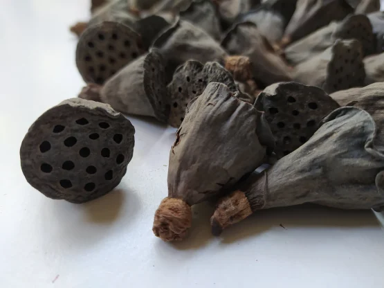 il_1588xN.4039969667_qu83