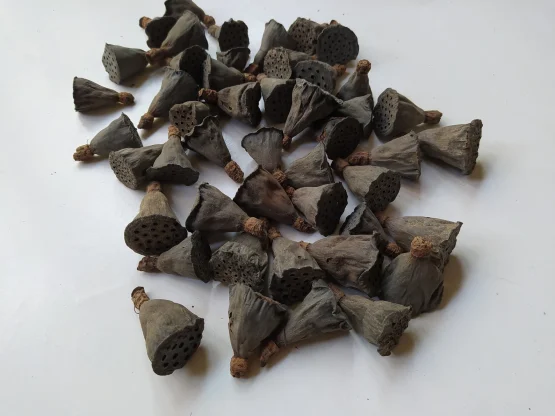 il_1588xN.4039969813_opv6