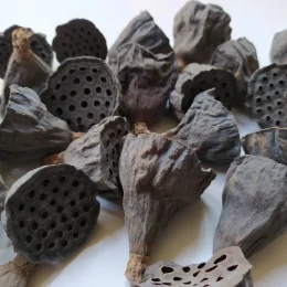 il_1588xN.4039970081_j8xy