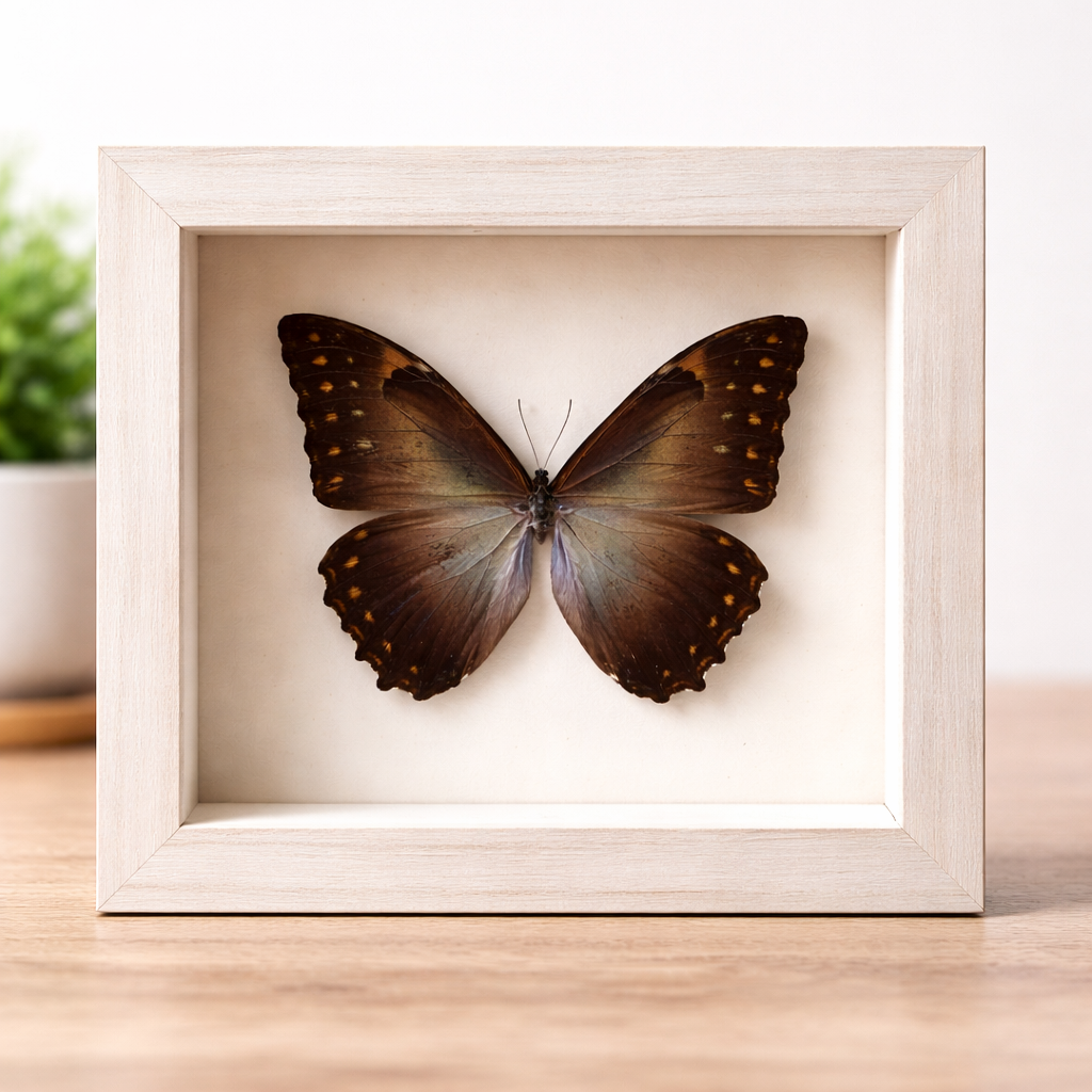 file_00000000e1c4720a806eaebe1c5c0320