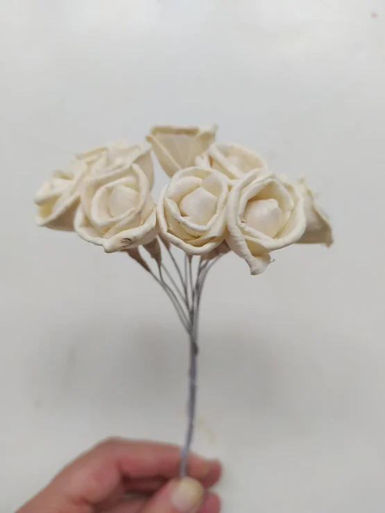 il_1588xN.4989102528_o138