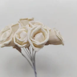 il_1588xN.5037342345_a3o5