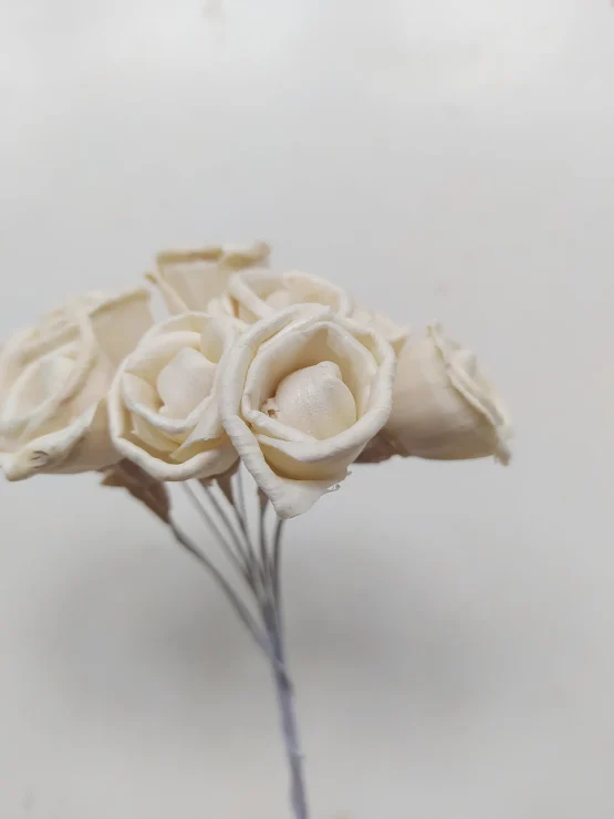 il_1588xN.5037342345_a3o5