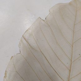 il_1588xN.5328590673_j9c5