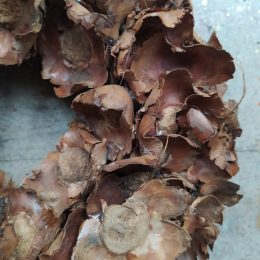 il_1588xN.4396598696_naqo