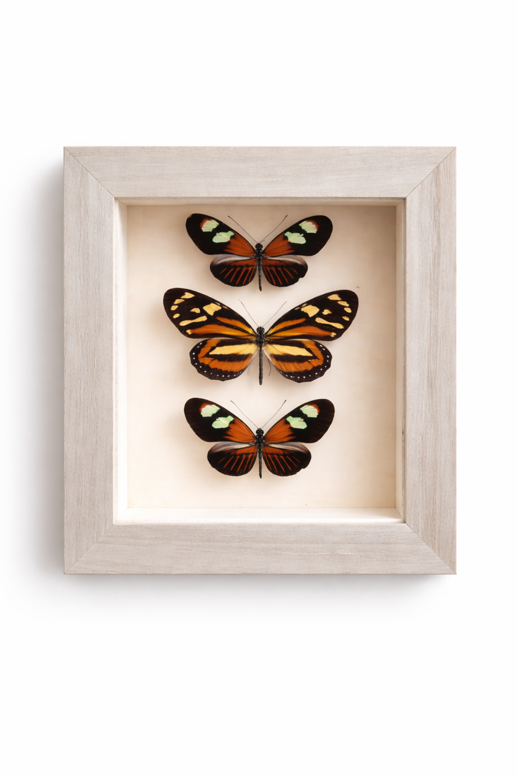 cbff5f36-6211-471e-a813-fe875671c3e2