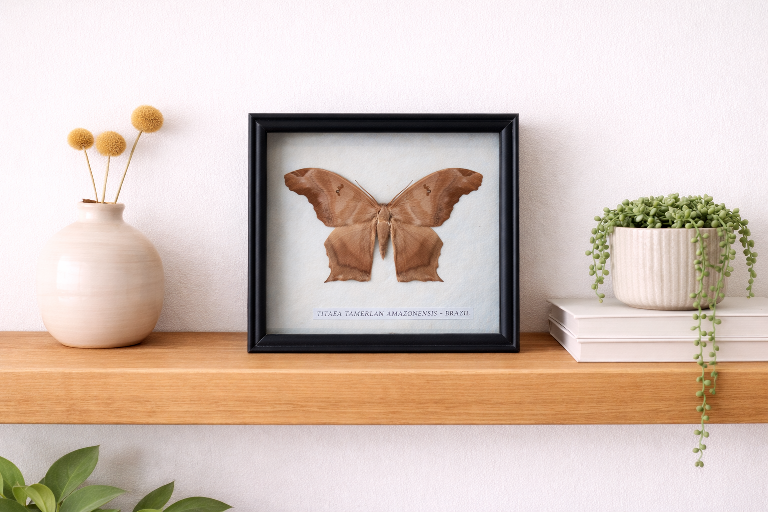 file_000000001bf0724384e448705e0327e3