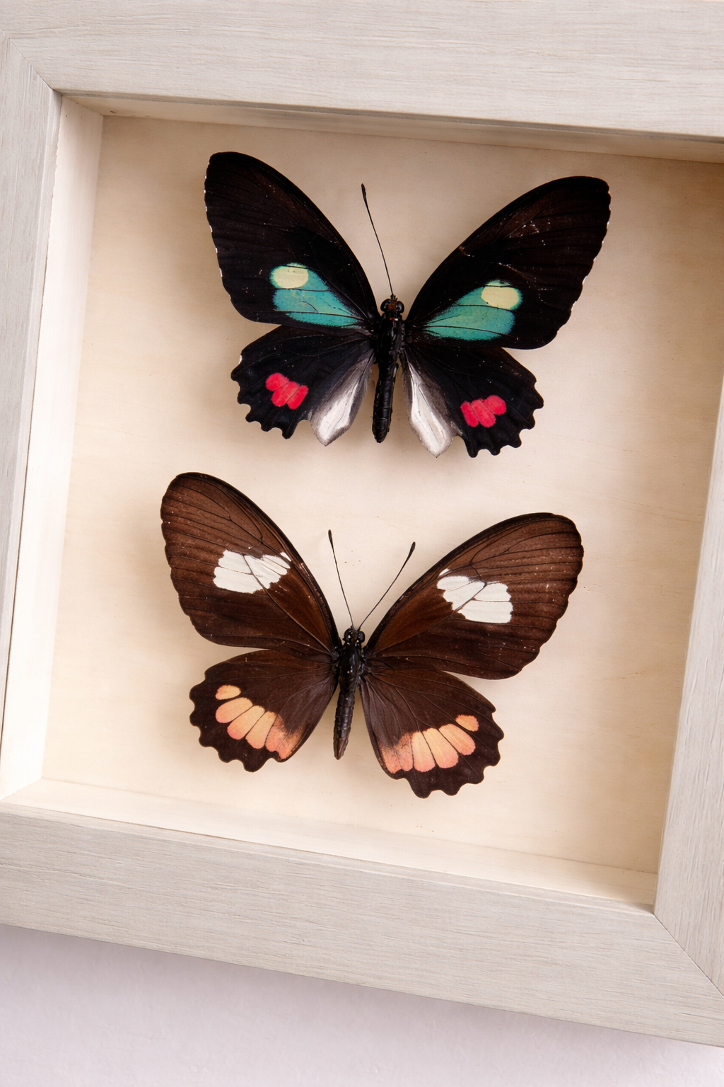 file_000000003f1872469a3c99460c330f1c