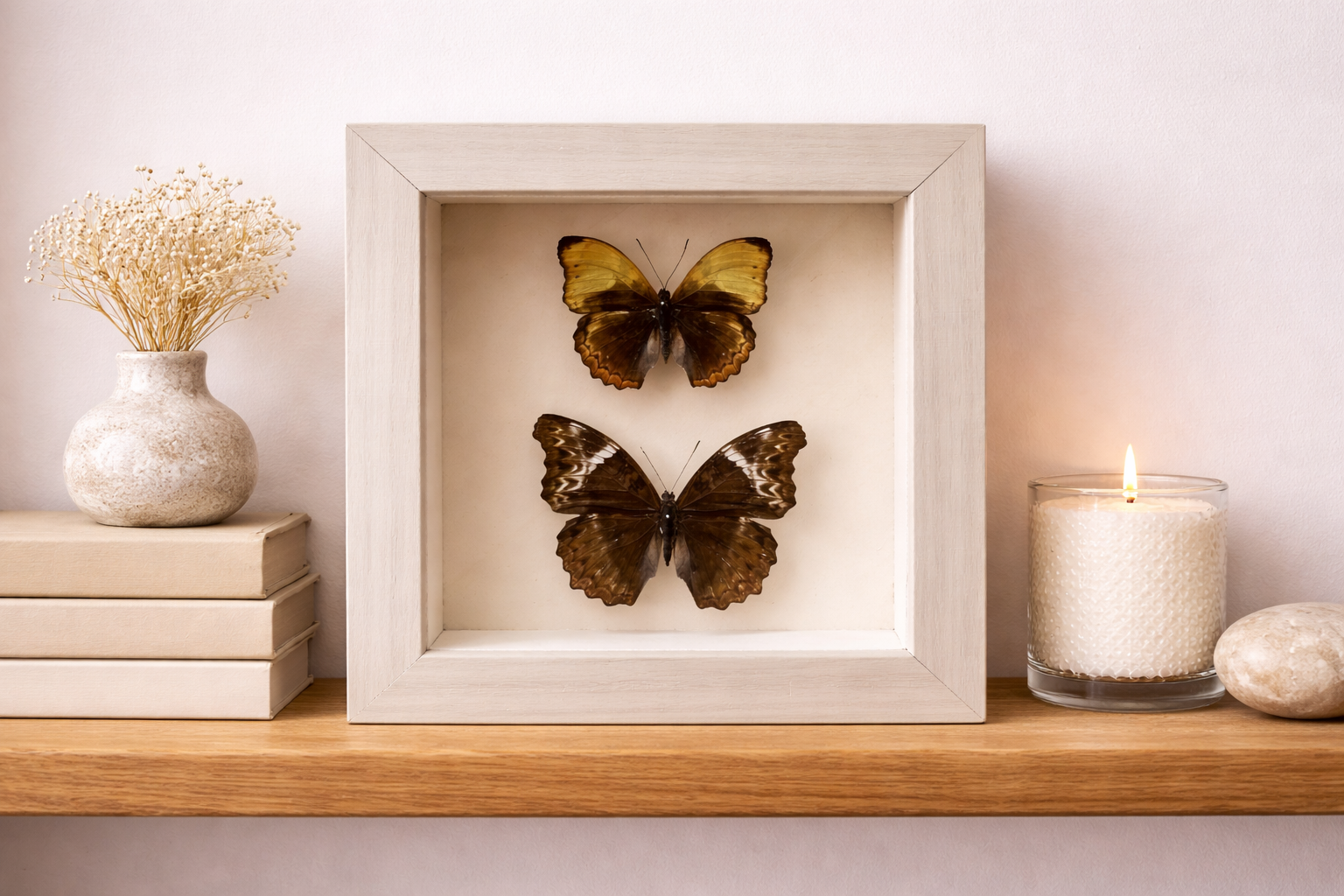 file_00000000426c72438effe04e76e91503