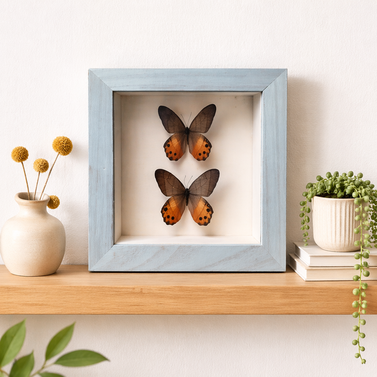 file_00000000574c720a9c95a7418d6f93ee