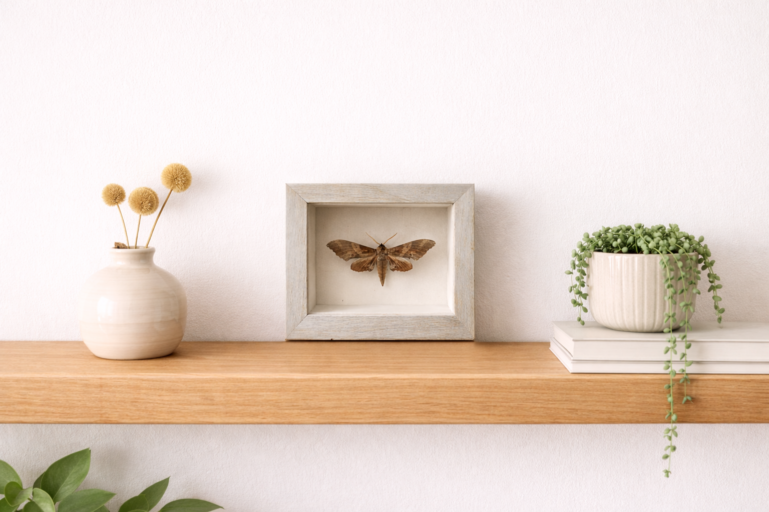 file_00000000aabc72469ff7559655a63d71