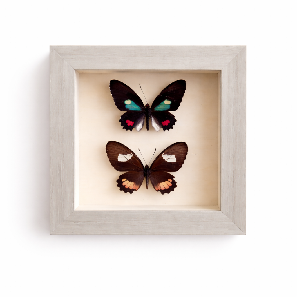 file_00000000ac147243aebded5d4df299db