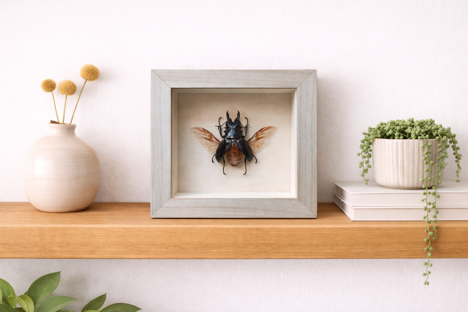 file_00000000b398720a8d41a690f3748a44