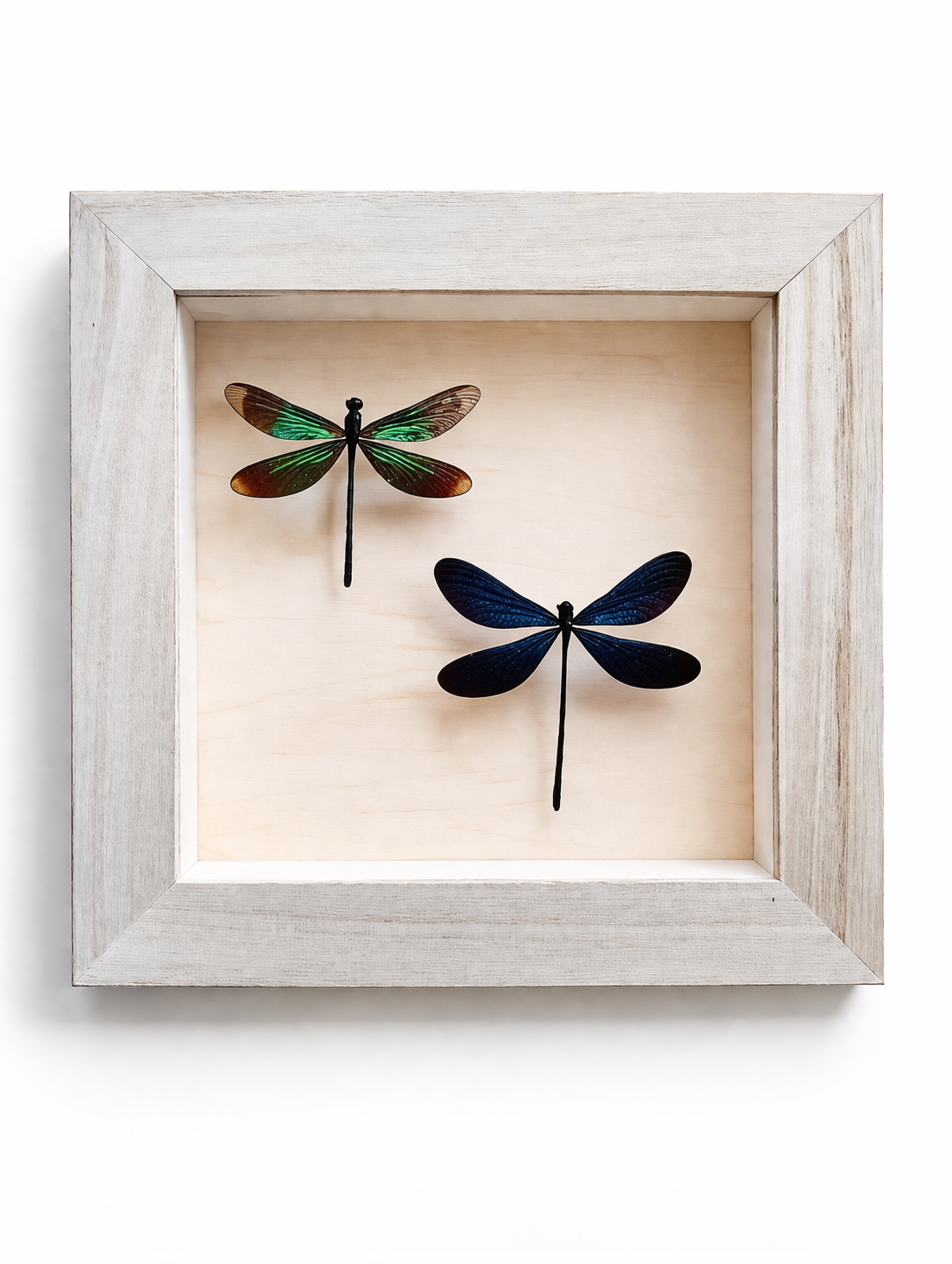 file_00000000c25c7243b7ab756d75ed6f8e