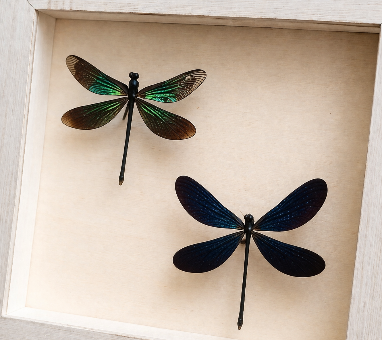 file_00000000ccc87243a04fd20abf667a2c