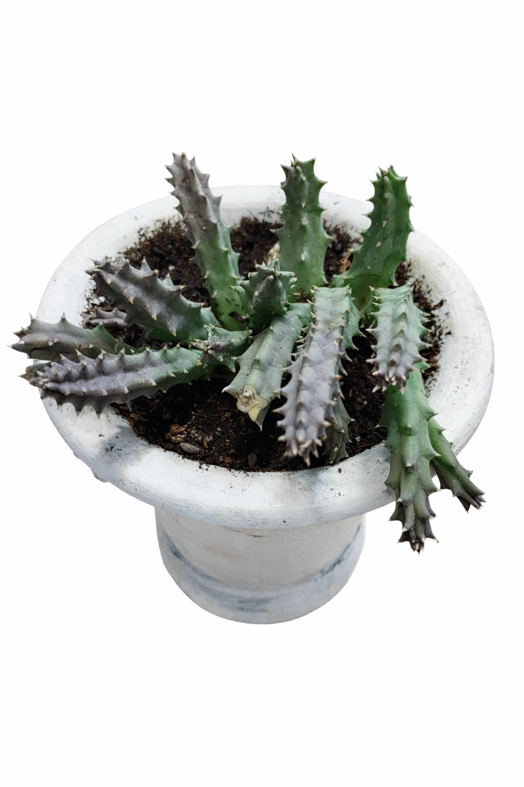 file_0000000004307243a2af0b9e3a377a8d