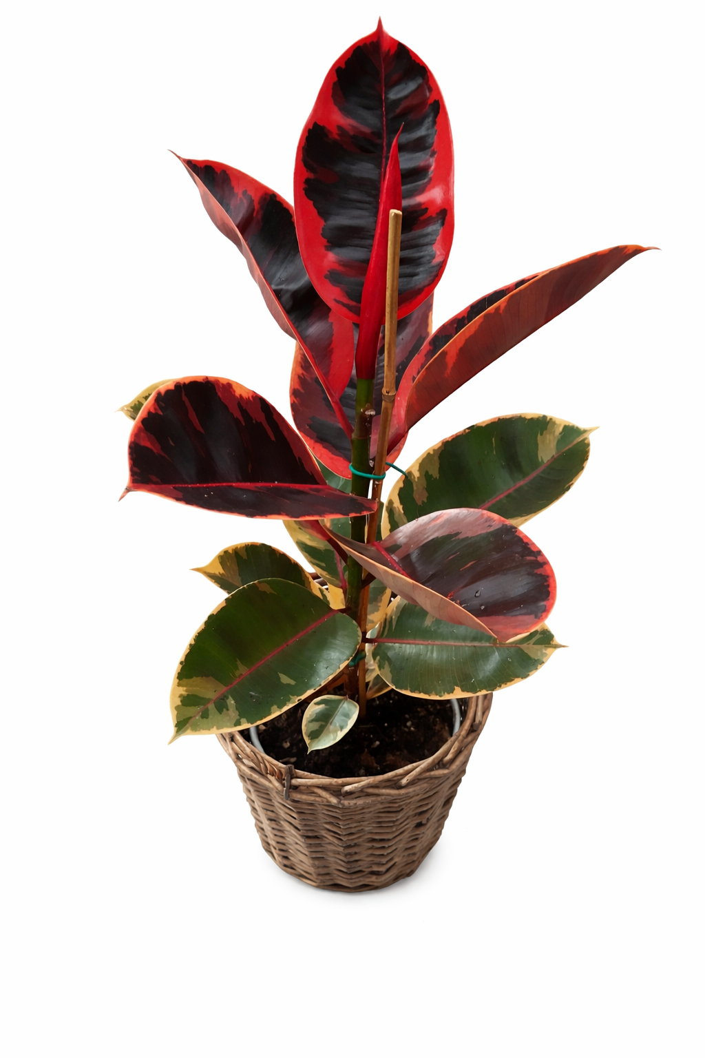 file_0000000008c47243b921228a08951147