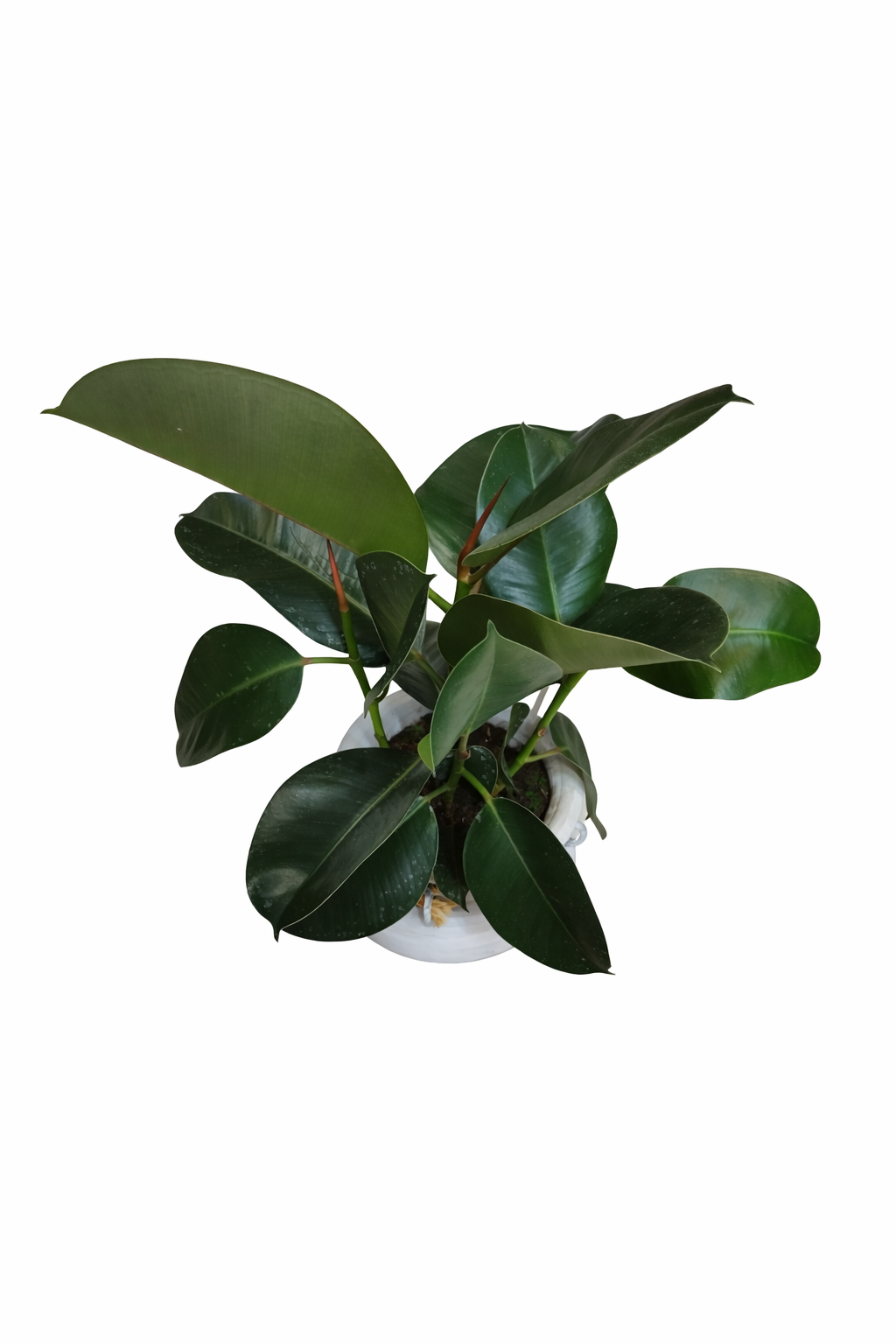 file_0000000014347208a81eaaa995d3638d