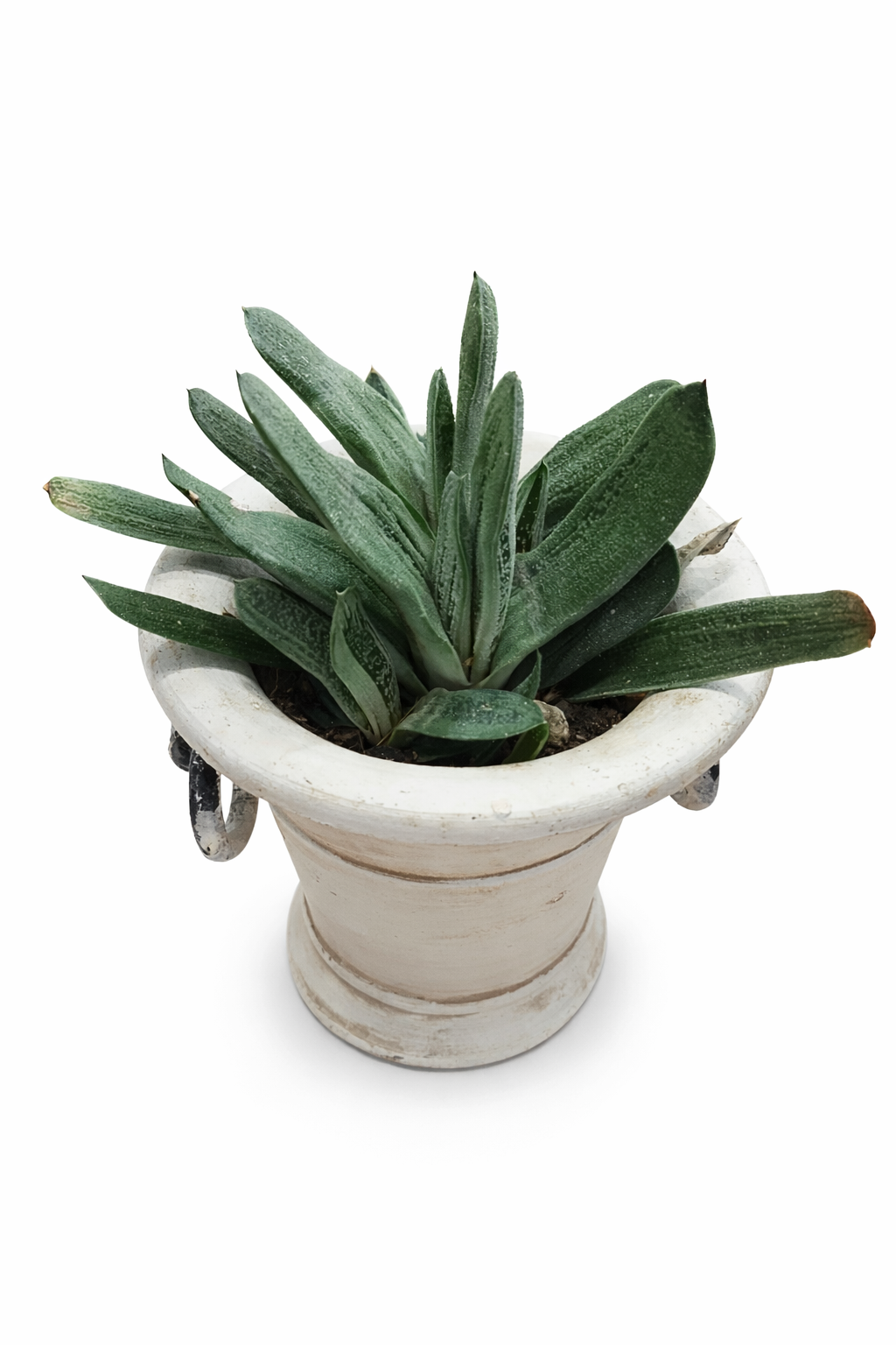 file_00000000201871f49260a2ad722aa669