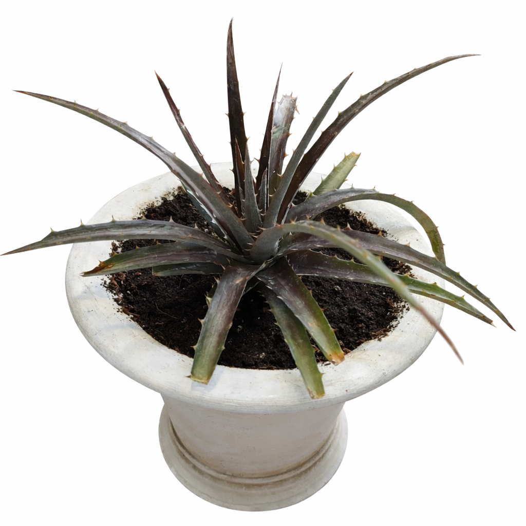 file_0000000029d87243973585cc1c54be95