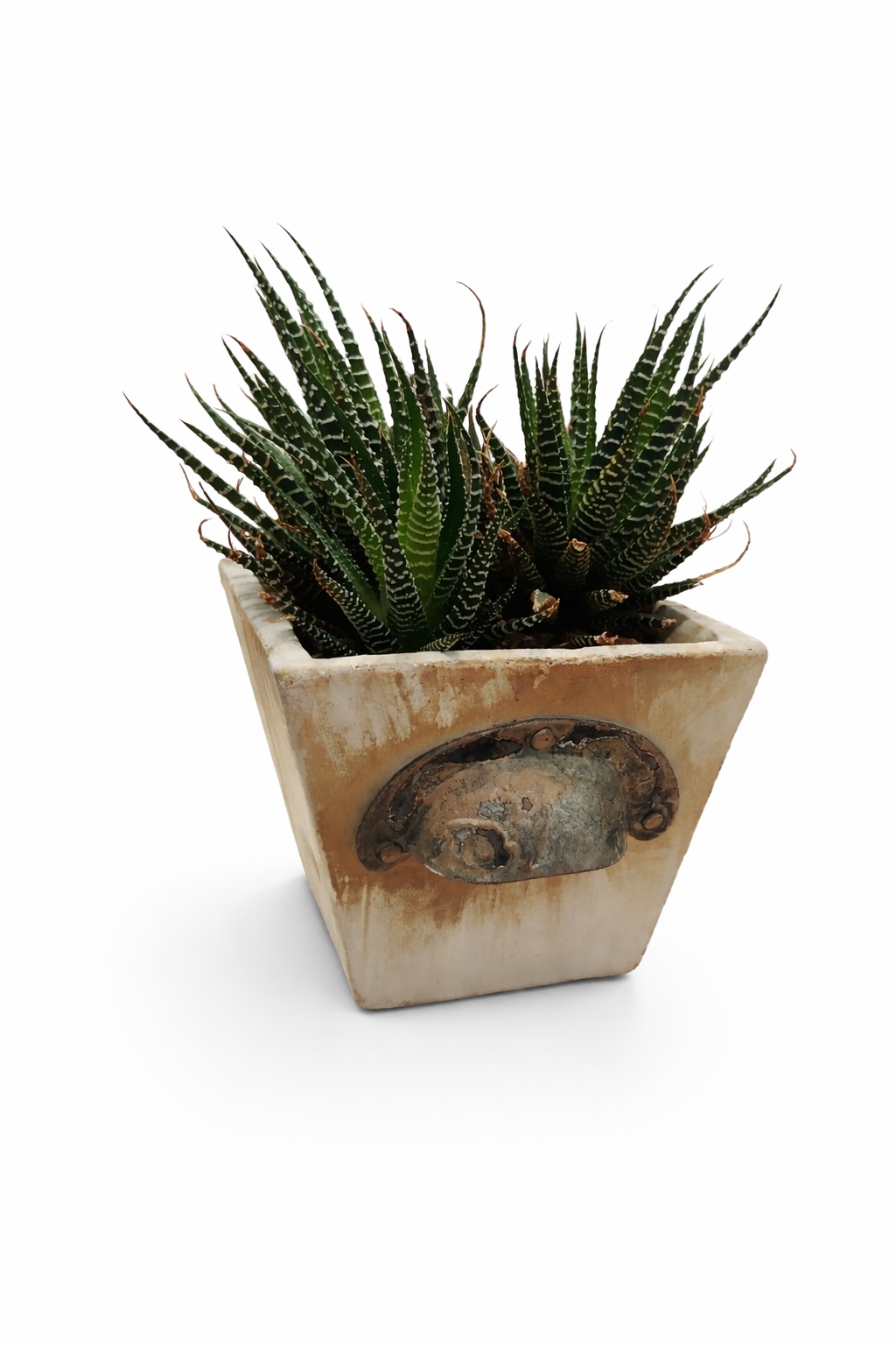 file_00000000352c71f4a89879fafb92ec8a