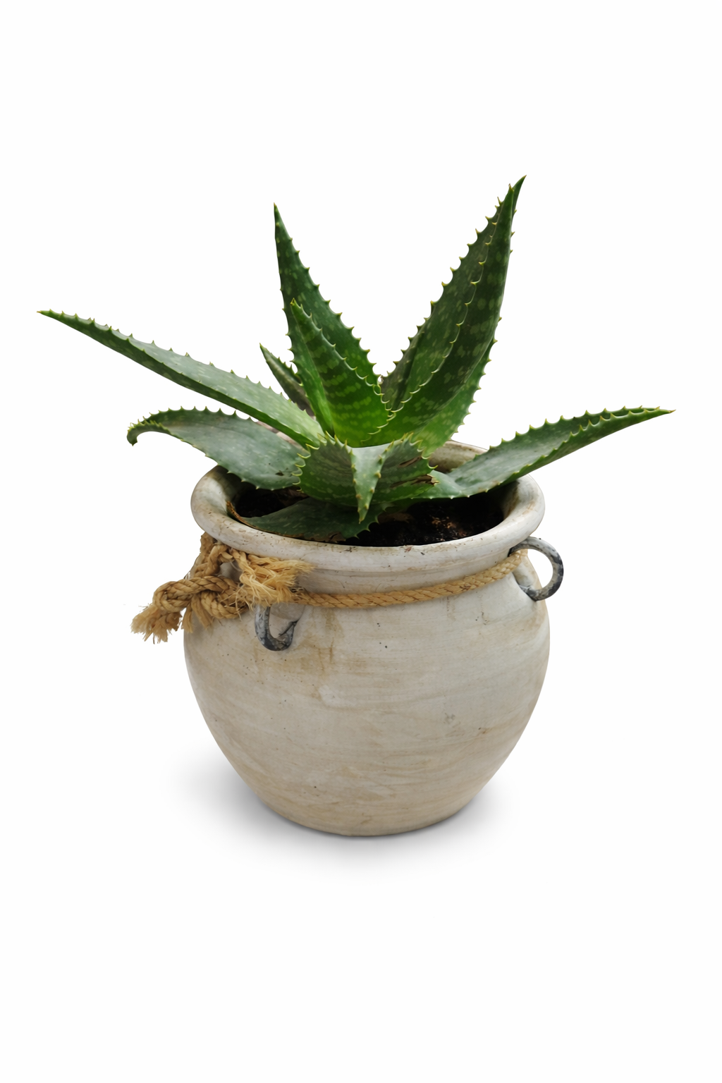 file_000000004d1472438ab1ab36880a099c