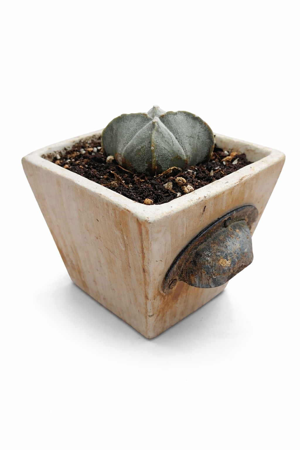 file_000000006e447243a4b7d75ff383c543