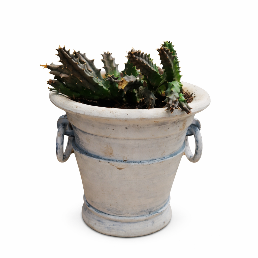 file_000000007014720aac2fc3dbe15fc0d4