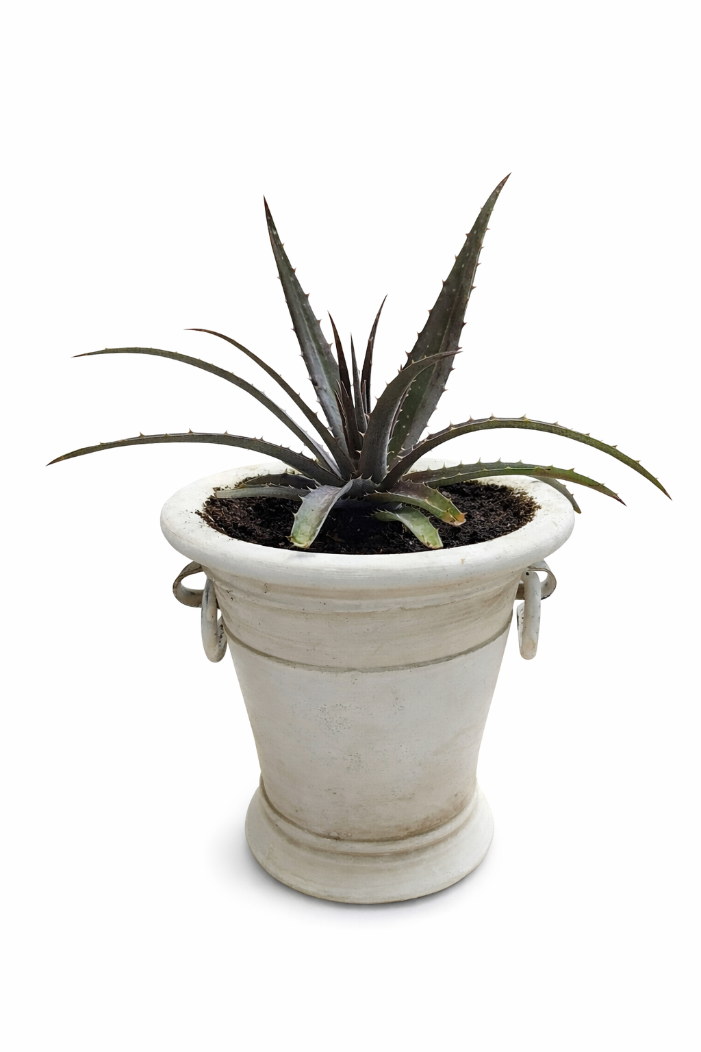 file_000000008ca87243b78d5a61259e7df2