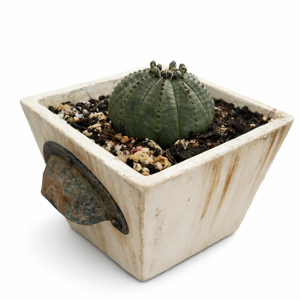 file_000000008e6472439121151753299651