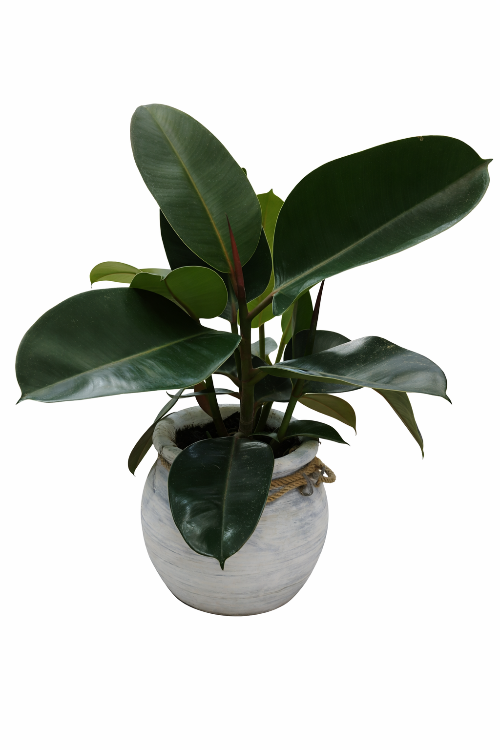 file_000000009ff47208bef7dac322120dca