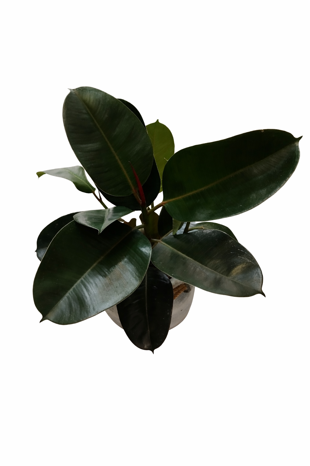 file_00000000c06c72089badea8167a0b5ee