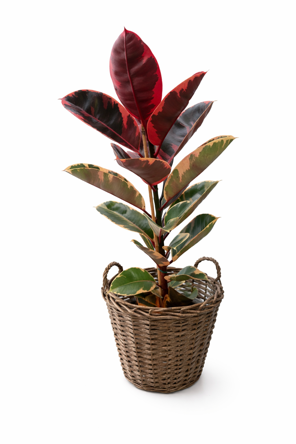 file_00000000e0d87243ac907d3f37f359ab