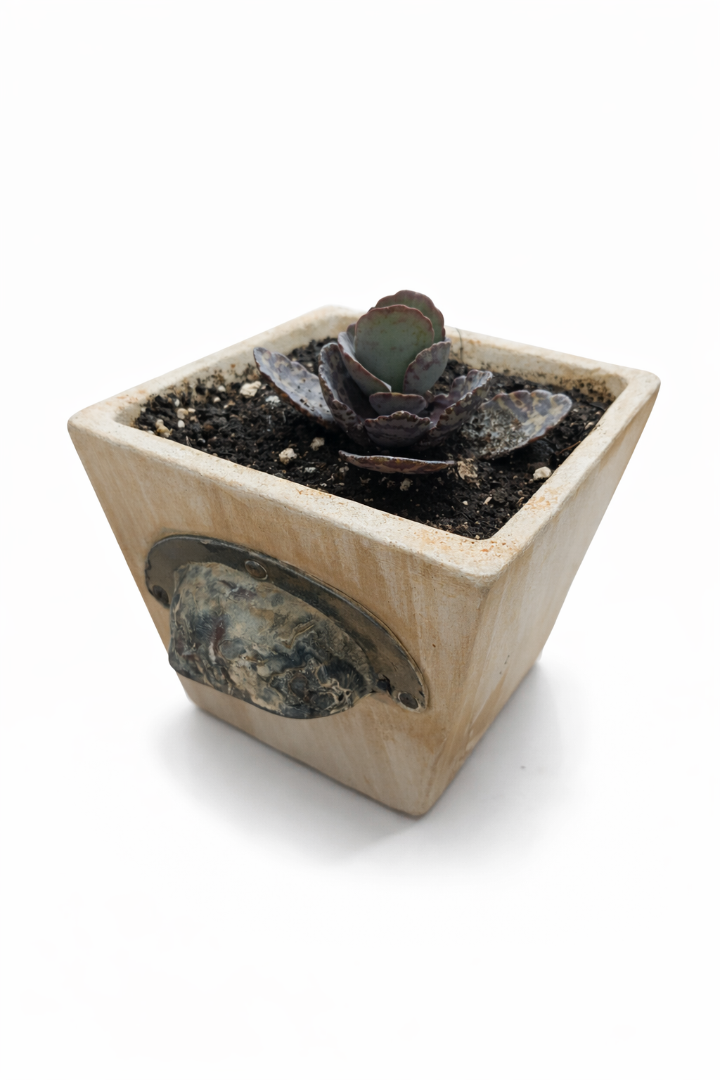 file_00000000f00072438bd56238e7a82271