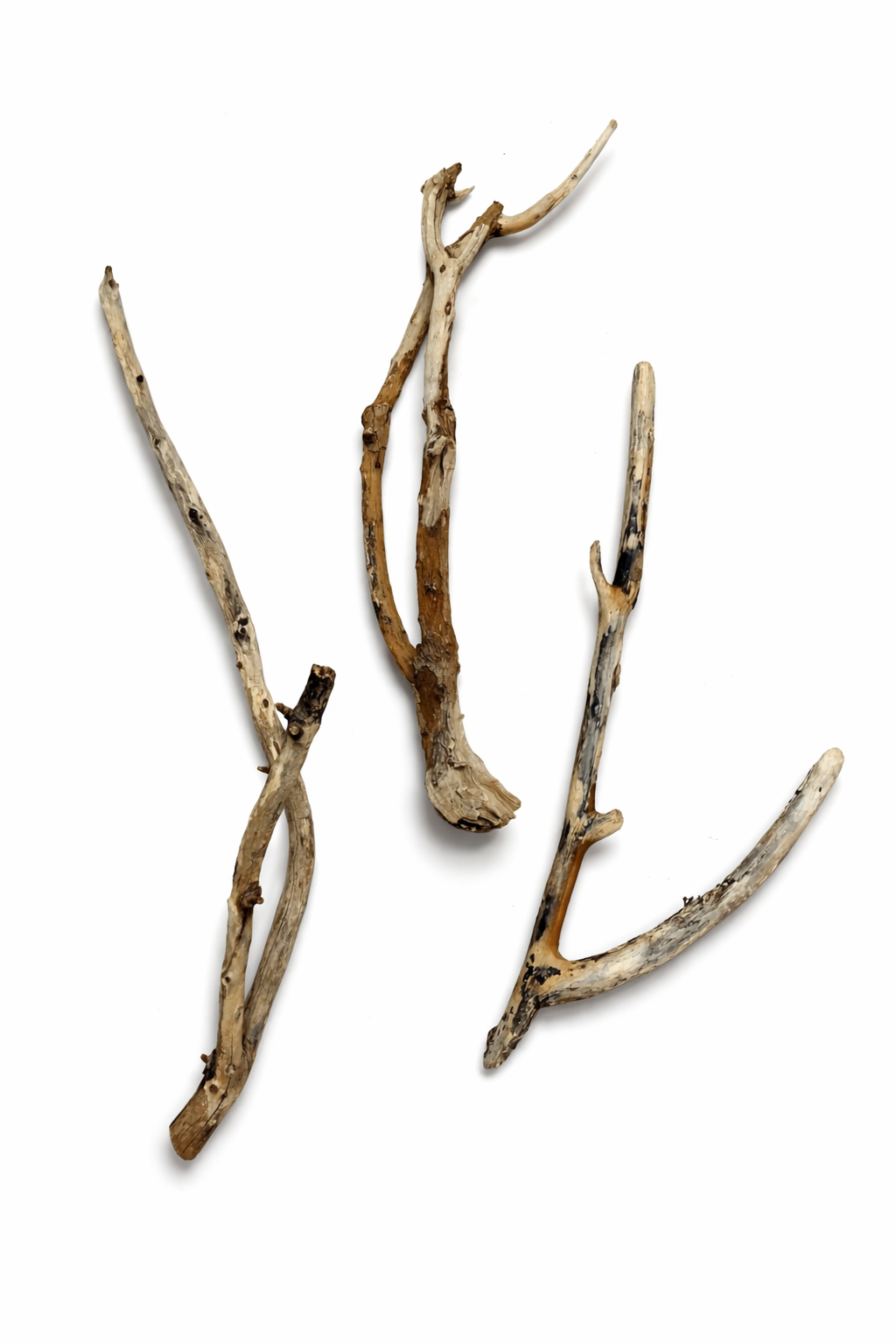 file_0000000019f87246b6a1e1ffafe61182